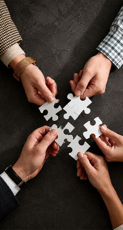 Why Global Companies Choose Sebone