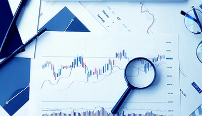 Data quality analysis process