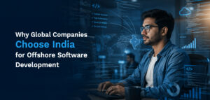 offshore software development​